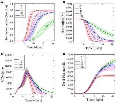 Synchronous Germinal Center Onset Impacts the Efficiency of Antibody Responses